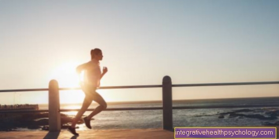 Running - le sport d'endurance pour le corps et l'esprit