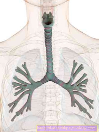 Plaušu funkcijas pārbaude