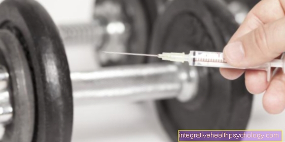 Muscle building and anabolic steroids