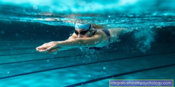 القوانين الفيزيائية في السباحة
