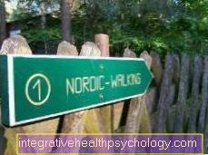 Chůze / Nordic Walking