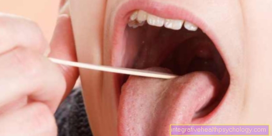 Herpetická gingivostomatitida / hniloba v ústech