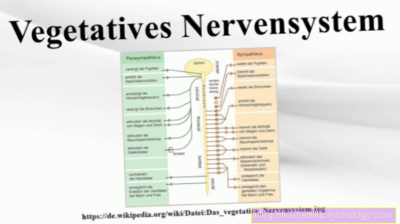 AUTONOMNI ŽIVČANI SUSTAV - ANATOMIJA-LEKSIKON
